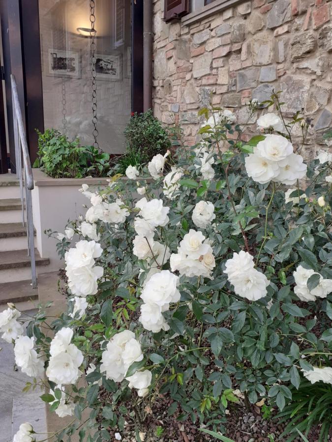 Hotel Le Macine Montaione Dış mekan fotoğraf
