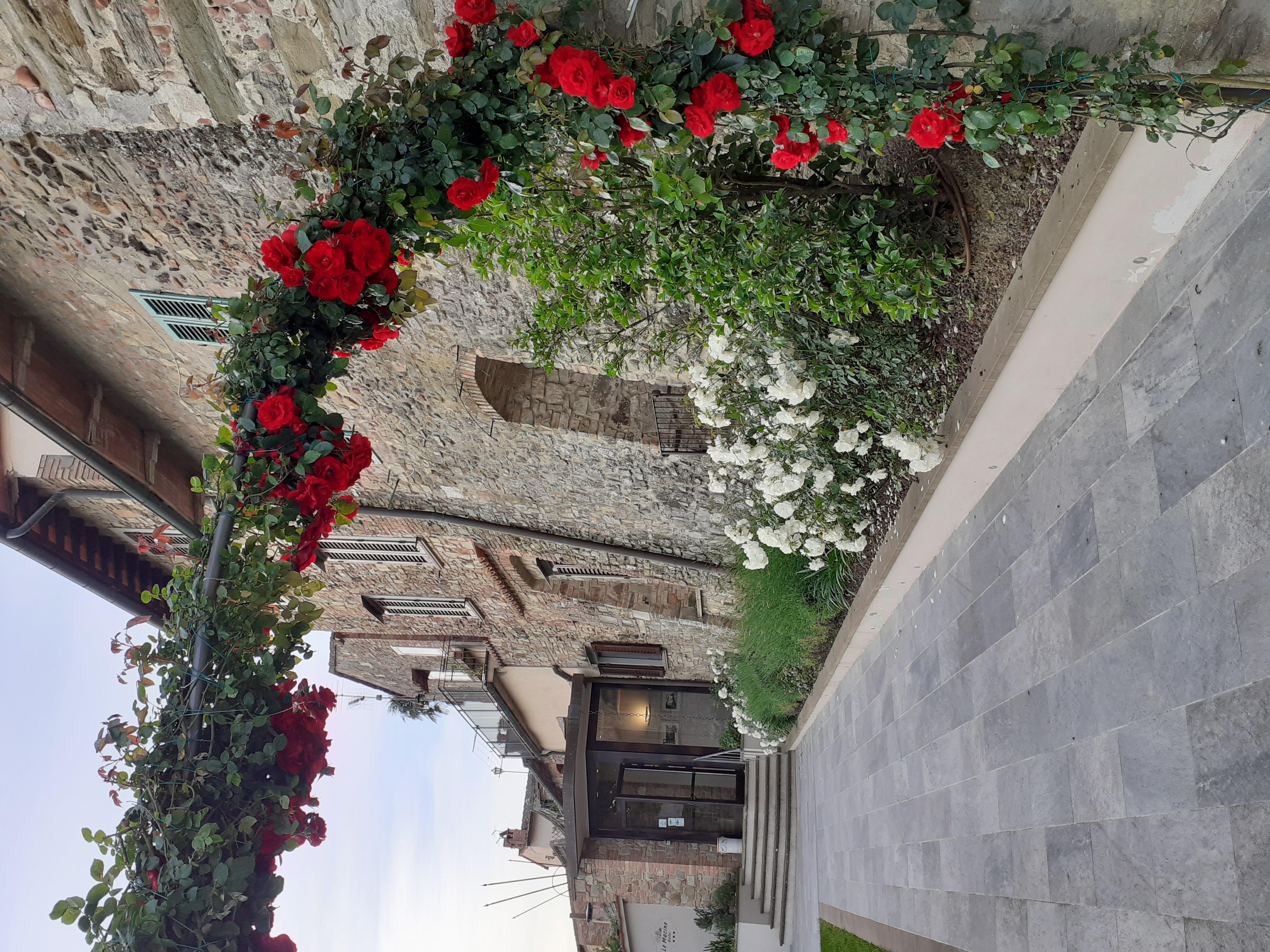 Hotel Le Macine Montaione Dış mekan fotoğraf