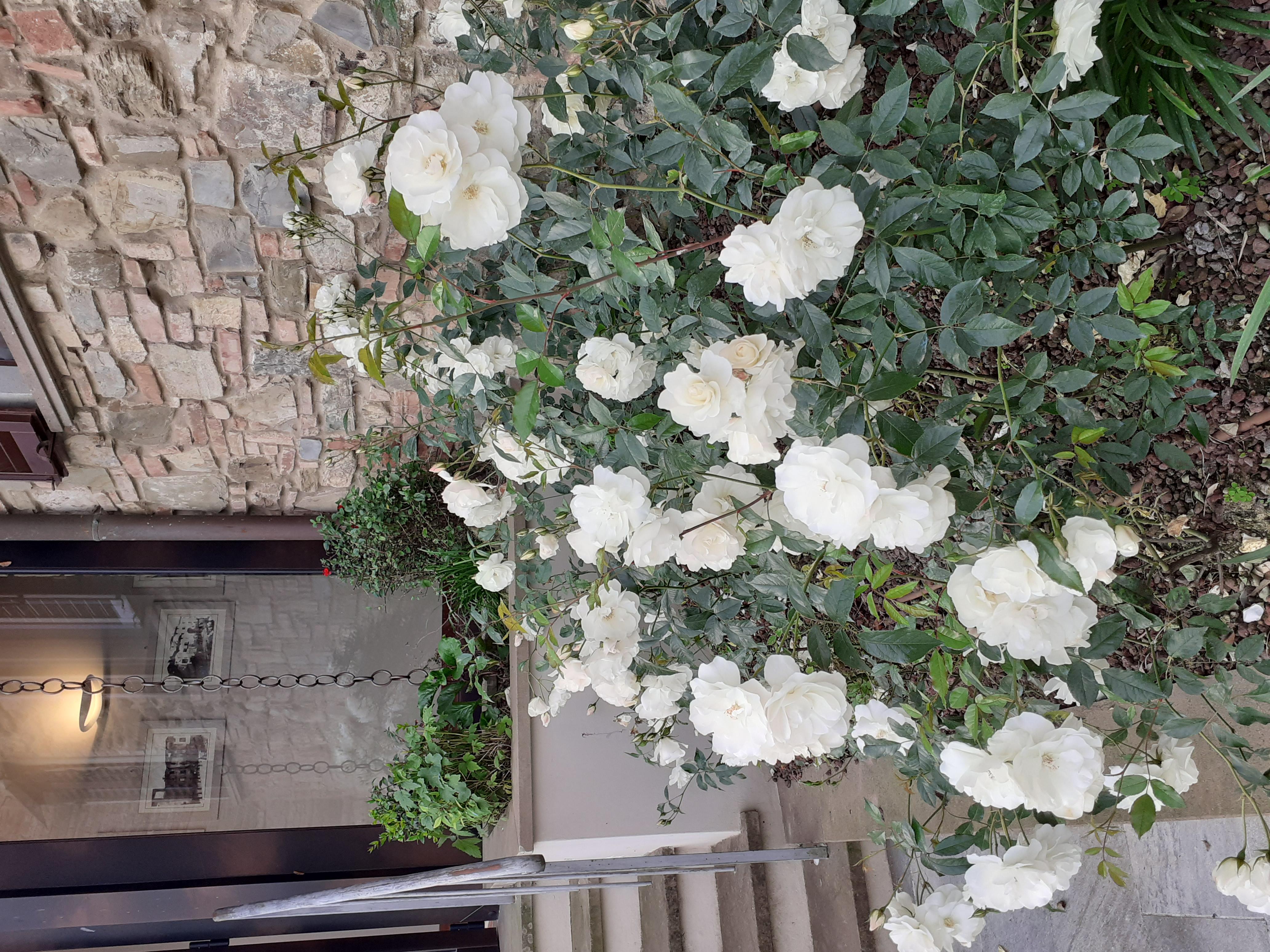 Hotel Le Macine Montaione Dış mekan fotoğraf